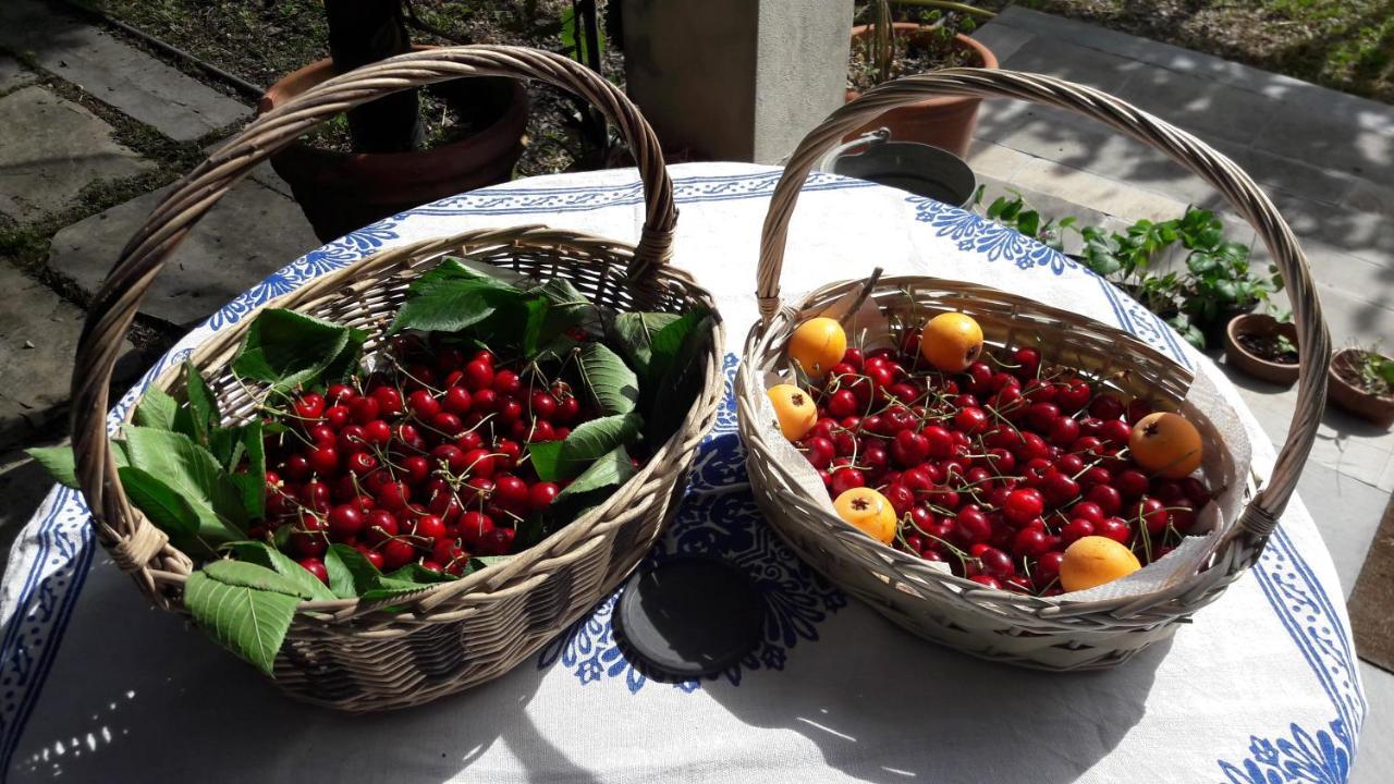 The Italian Riviera Bed and Breakfast San Salvatore  Εξωτερικό φωτογραφία