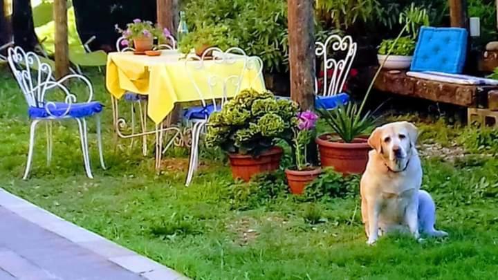 The Italian Riviera Bed and Breakfast San Salvatore  Εξωτερικό φωτογραφία